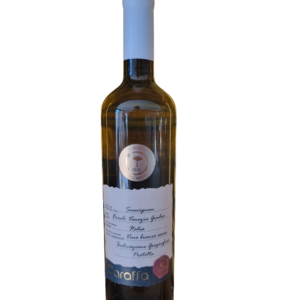 Sauvignon IGP Friuli